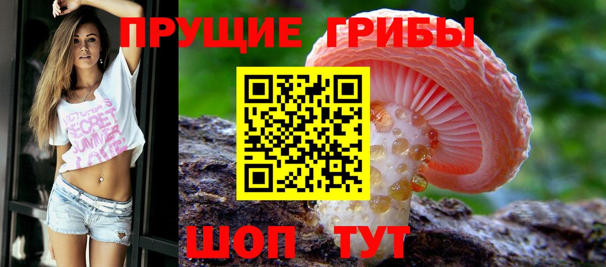 Галлюциногенные грибы Magic Shrooms Керчь
