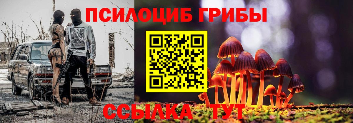 Керчь  Псилоцибиновые грибы Cubensis  Псилоцибиновые грибы GOLDEN TEACHER  Вход с VPN 